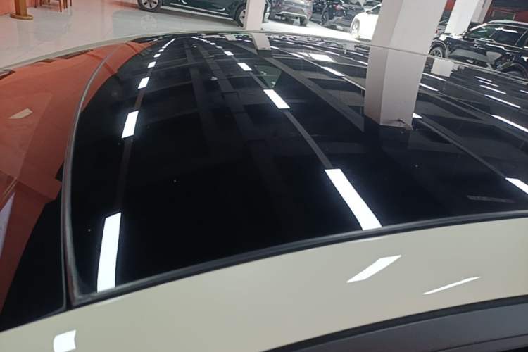 Used BYD Dolphin 2021 405 km Fashion Edition Roof