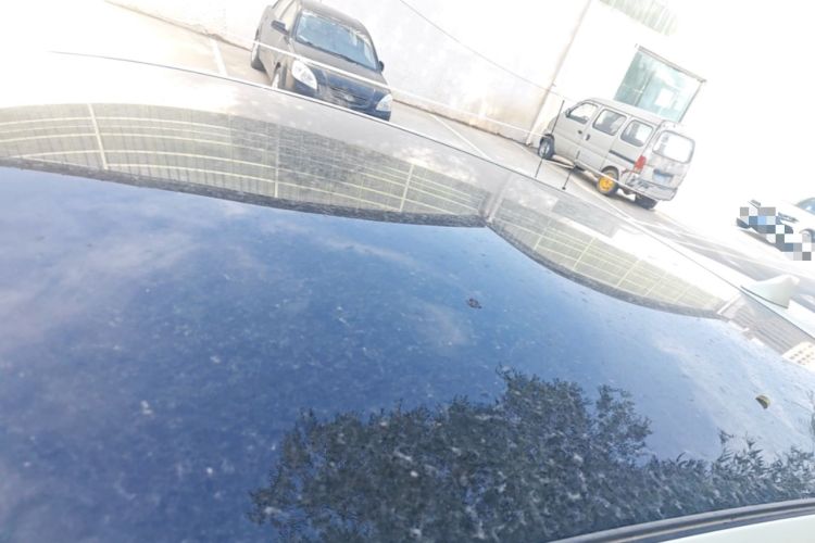 Used BYD Dolphin 2021 405 km Fashion Edition Roof