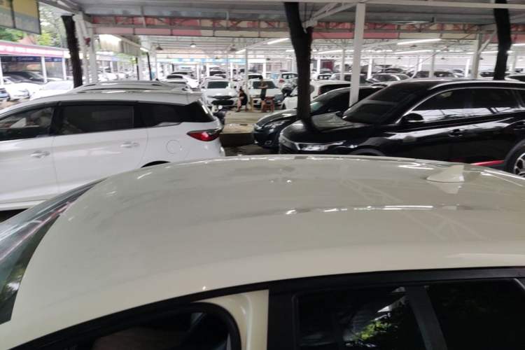 Used BYD Dolphin 2021 405 km Free Version Roof