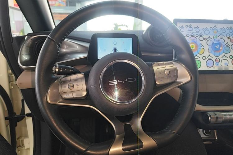 Used BYD Dolphin 2021 405 km Free Version Steering Wheel