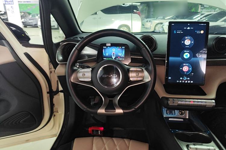 Used BYD Dolphin 2021 405 km Free Version Steering Wheel