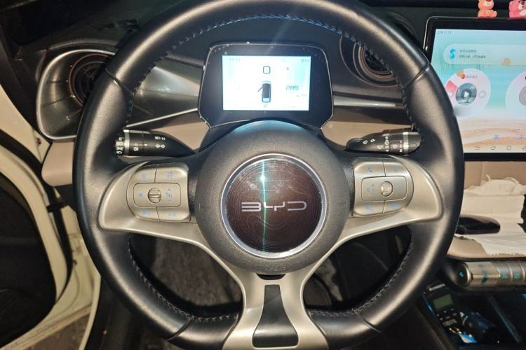 Used BYD Dolphin 2021 405 km Free Version Steering Wheel
