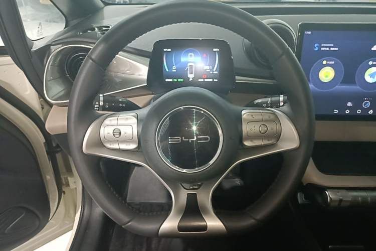 Used BYD Dolphin 2021 405 km Fashion Edition Steering Wheel