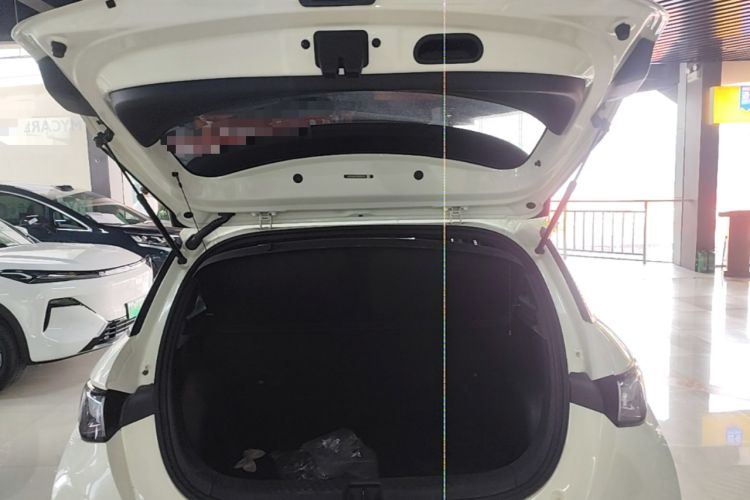 Used BYD Dolphin 2021 405 km Free Version Trunk