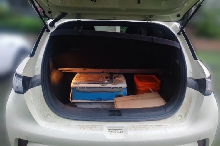 Used BYD Dolphin 2021 405 km Fashion Edition Trunk