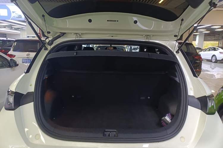 Used BYD Dolphin 2021 401km Knight Edition Trunk