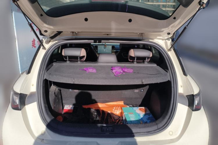 Used BYD Dolphin 2021 405 km Fashion Edition Trunk