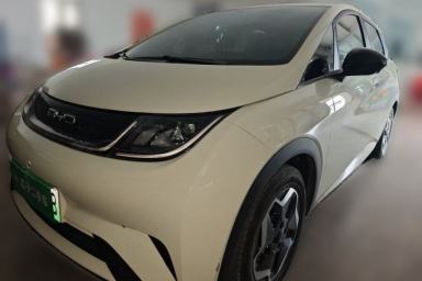 Used BYD Dolphin 2021 405 km Free Version