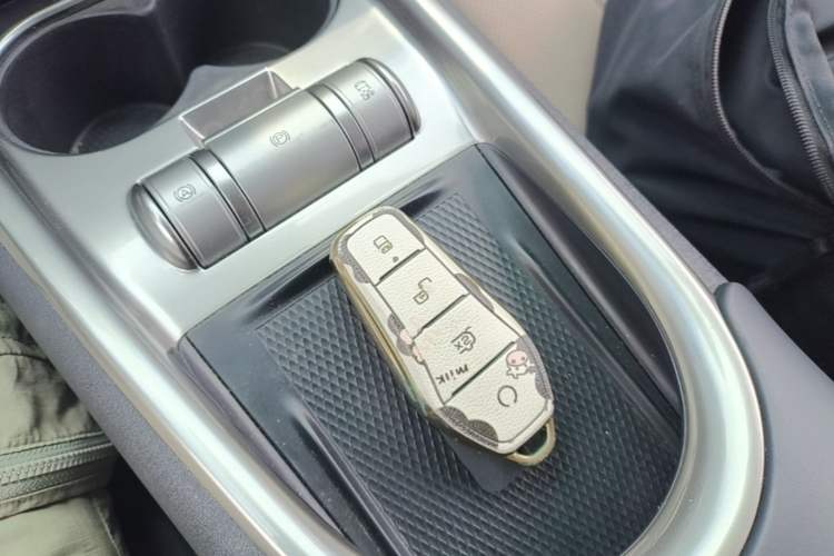 Used BYD Dolphin 2021 405 km Fashion Edition Vehicle Key