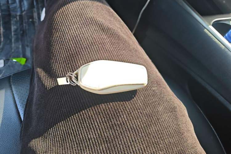 Used BYD Dolphin 2021 405 km Free Version Vehicle Key