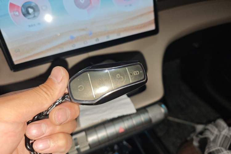Used BYD Dolphin 2021 405 km Free Version Vehicle Key