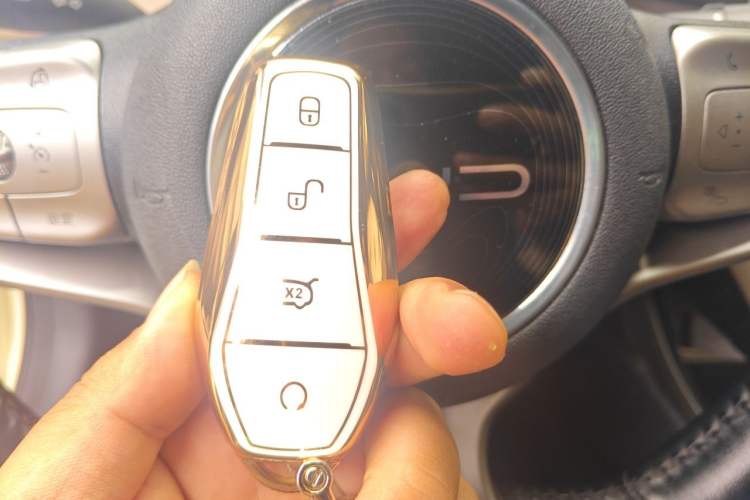 Used BYD Dolphin 2021 405 km Fashion Edition Vehicle Key