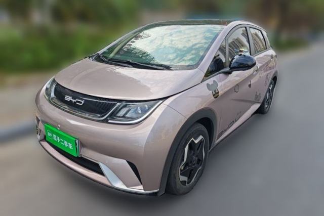 BYD Dolphin 2021 405 km Fashion Edition usado