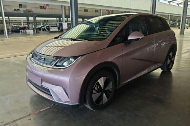 Ojetý BYD Dolphin 2023 420 km Free Version