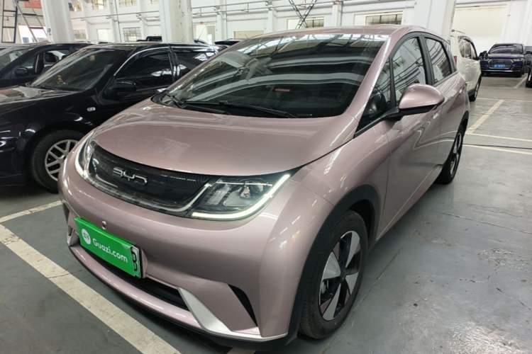 Used BYD Dolphin 2023 420 km Free Version Guazi used car, China used car export, Used car for sale, Used  cars, Cheapest cars for sale