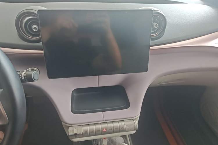 Used BYD Dolphin 2023 420 km Fashion Edition Audio And AC Panel