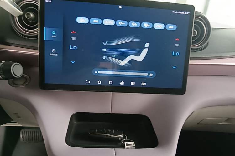 Used BYD Dolphin 2023 420 km Free Version Audio And AC Panel