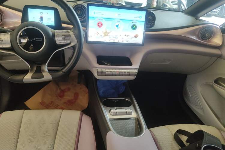 Used BYD Dolphin 2023 420 km Free Version Audio And AC Panel