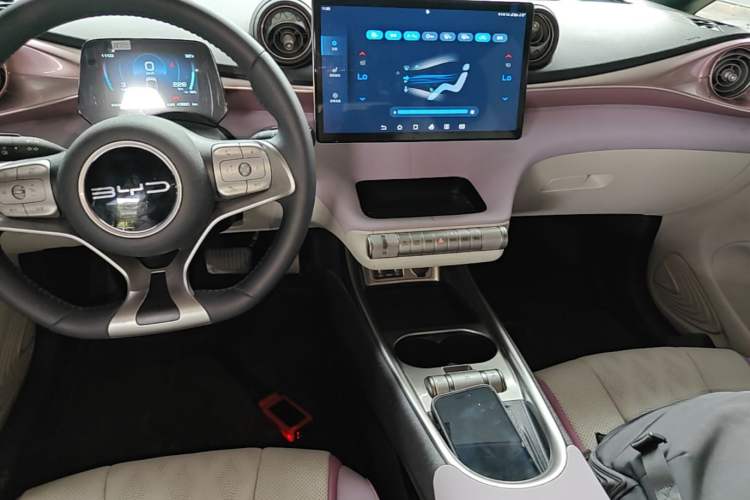 Used BYD Dolphin 2023 420 km Fashion Edition Audio And AC Panel