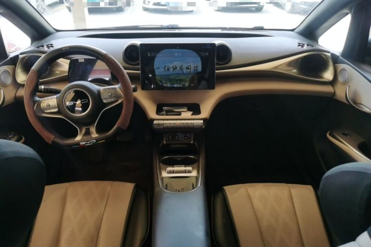Used BYD Dolphin 2023 420 km Fashion Edition Center Console