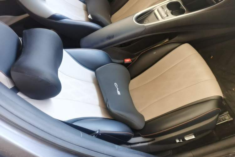 Used BYD Dolphin 2023 420 km Fashion Edition Right Front Seat