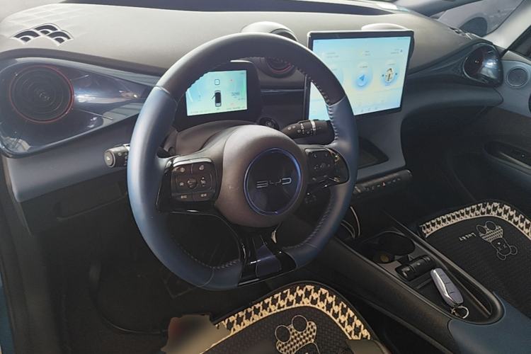 Used BYD Dolphin 2023 420 km Fashion Edition Center Console
