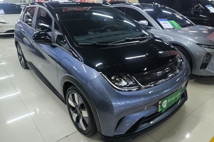 Used BYD Dolphin 2023 401km Knight Edition Exterior 1