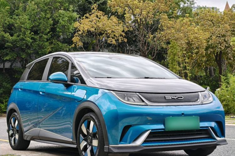 Used BYD Dolphin 2023 401km Knight Edition Exterior 4