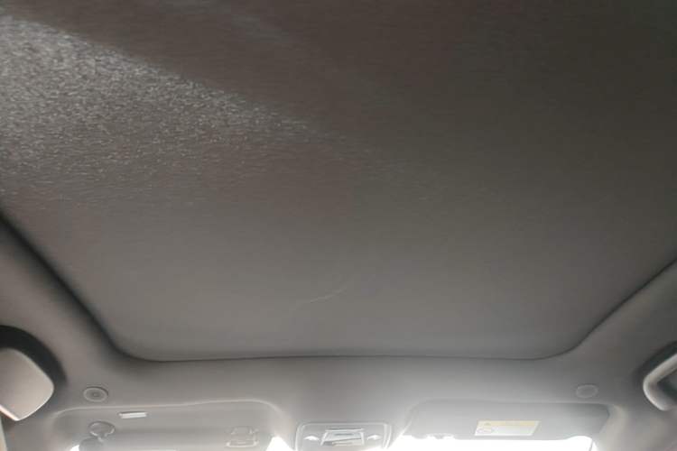 Used BYD Dolphin 2023 420 km Fashion Edition Headliner