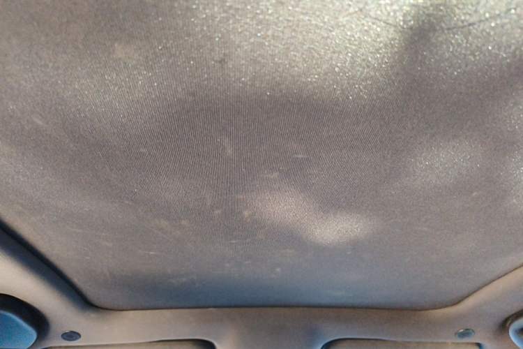 Used BYD Dolphin 2023 401km Knight Edition Headliner