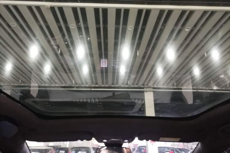 Used BYD Dolphin 2023 420 km Fashion Edition Headliner
