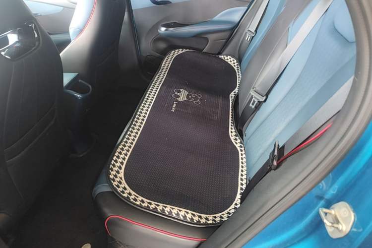 Used BYD Dolphin 2023 420 km Fashion Edition Left Rear Seat