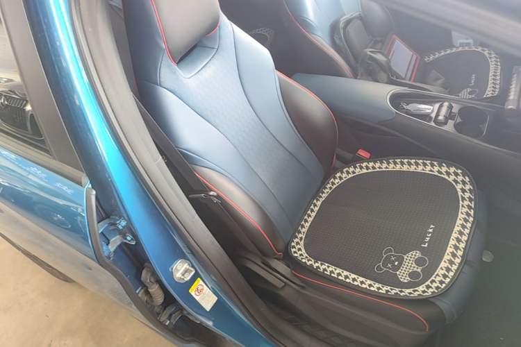 Used BYD Dolphin 2023 420 km Fashion Edition Right Front Seat