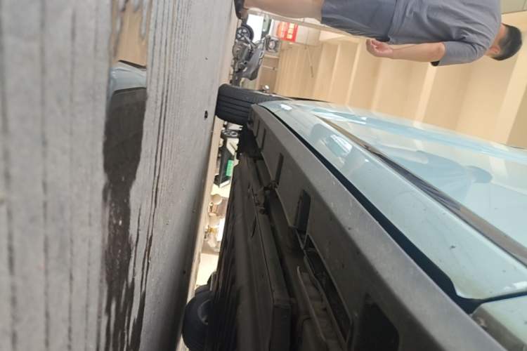 Used BYD Dolphin 2023 420 km Fashion Edition Right Side Sill
