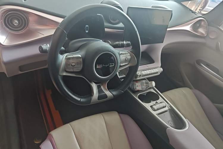 Used BYD Dolphin 2023 420 km Fashion Edition Center Console