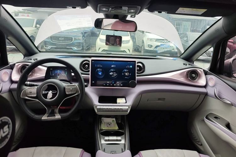 Used BYD Dolphin 2023 420 km Fashion Edition Center Console
