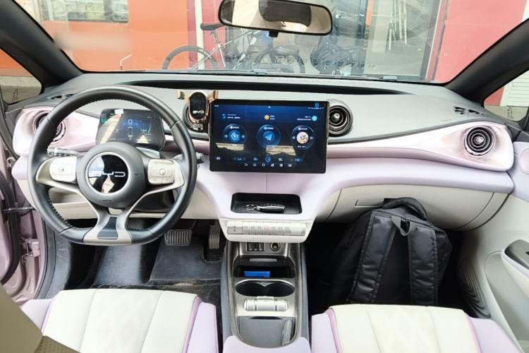 Used BYD Dolphin 2023 420 km Free Version Center Console