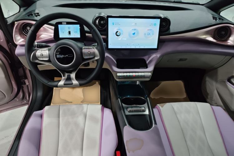 Used BYD Dolphin 2023 420 km Fashion Edition Center Console
