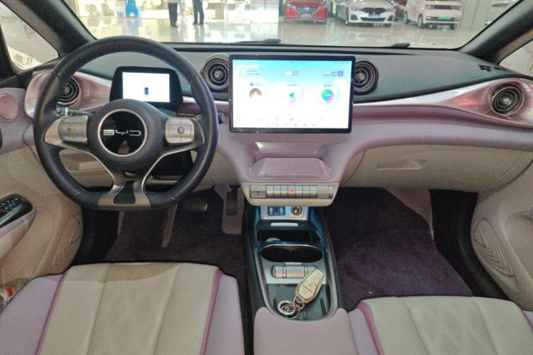 Used BYD Dolphin 2023 420 km Fashion Edition Center Console