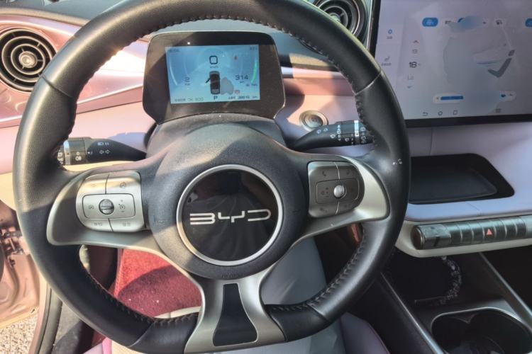 Used BYD Dolphin 2023 420 km Fashion Edition Center Console