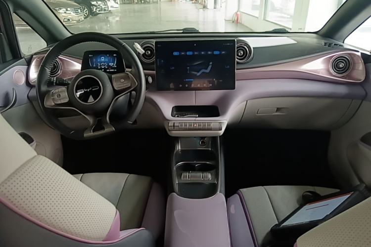 Used BYD Dolphin 2023 420 km Free Version Center Console