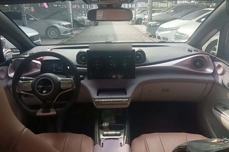 Used BYD Dolphin 2023 420 km Fashion Edition Center Console