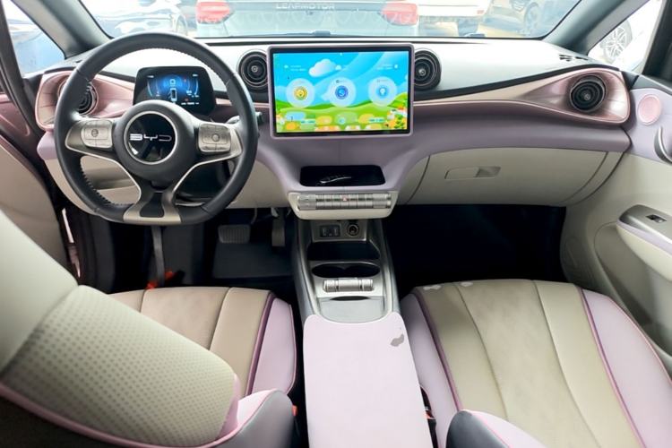 Used BYD Dolphin 2023 420 km Free Version Center Console