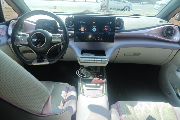 Used BYD Dolphin 2023 420 km Free Version Center Console