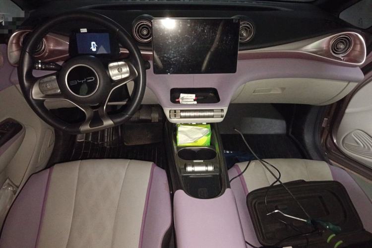 Used BYD Dolphin 2023 420 km Fashion Edition Center Console