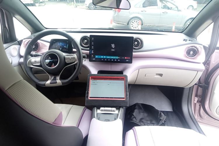 Used BYD Dolphin 2023 420 km Fashion Edition Center Console