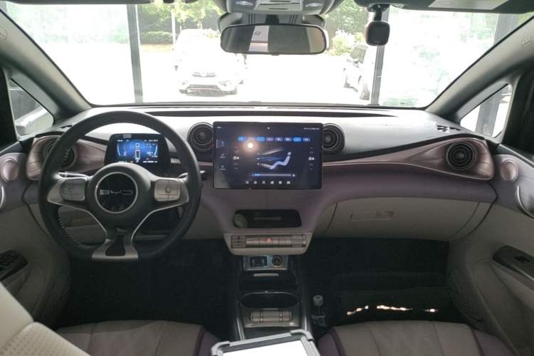 Used BYD Dolphin 2023 401km Knight Edition Center Console