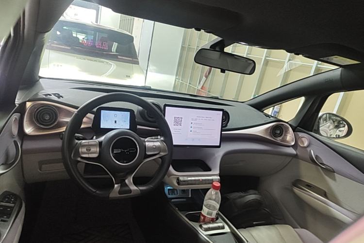 Used BYD Dolphin 2023 420 km Free Version Center Console