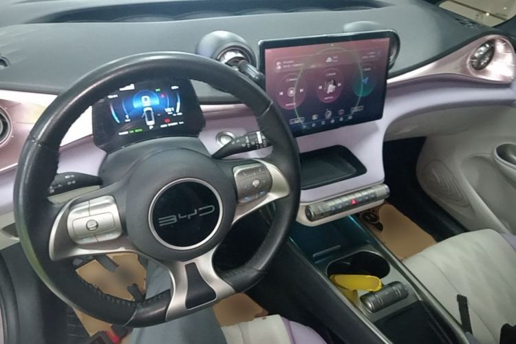 Used BYD Dolphin 2023 420 km Fashion Edition Center Console