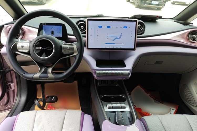 Used BYD Dolphin 2023 420 km Fashion Edition Center Console